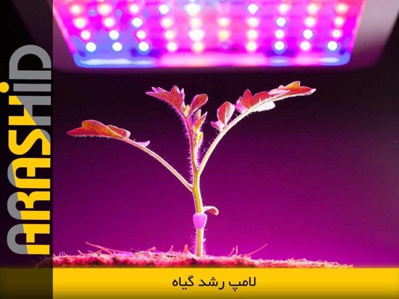 لامپ رشد گیاه چیست