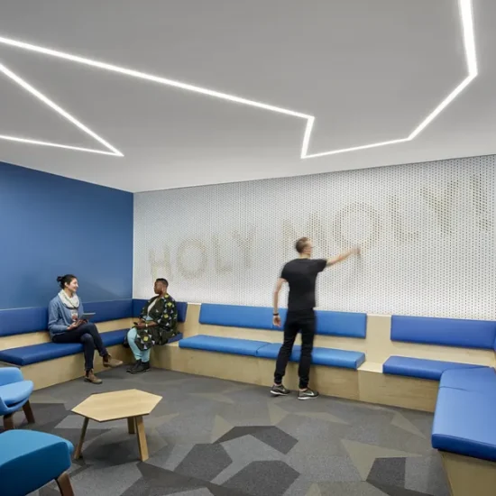 کاربرد چراغ لاینی